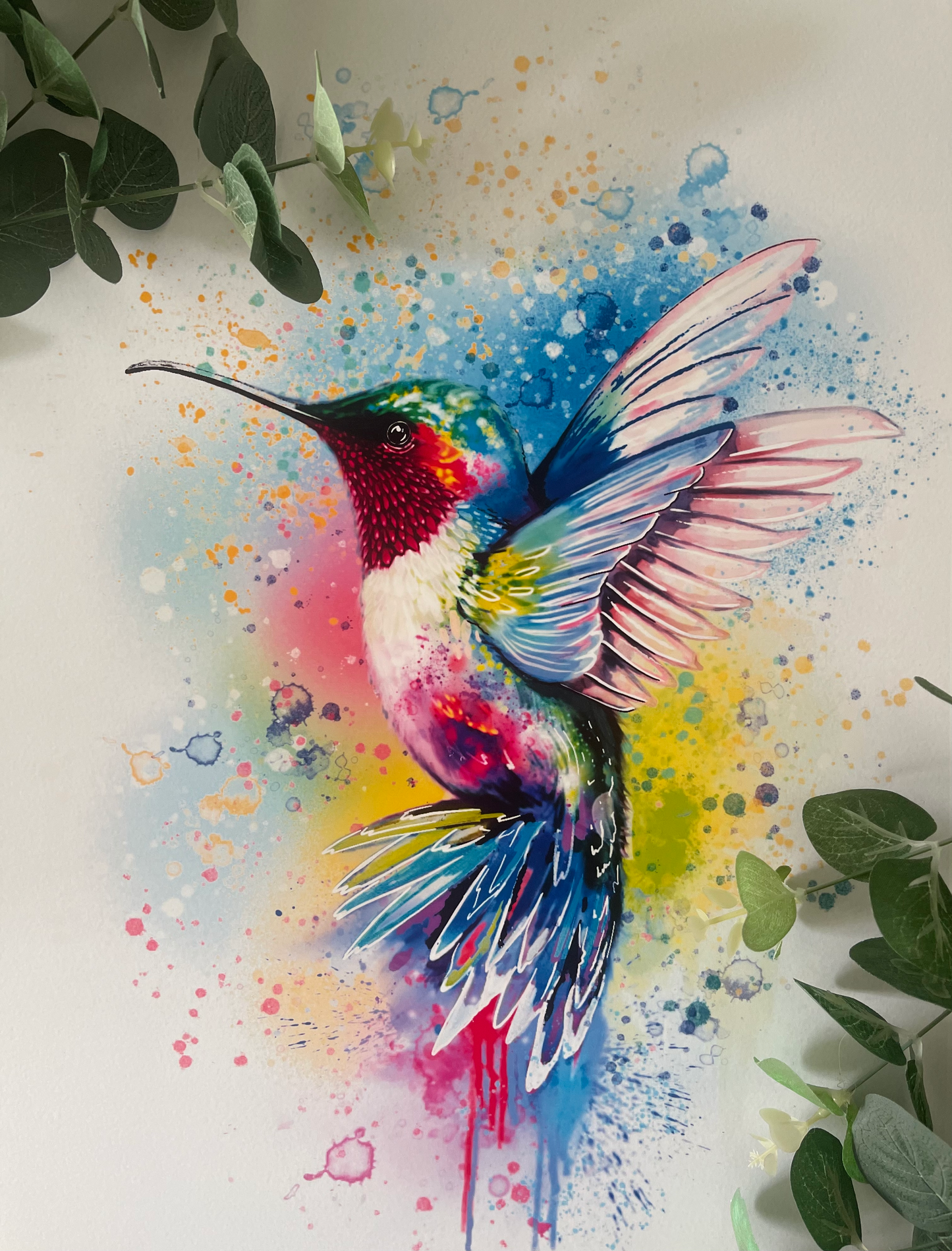 "Into the light"  Hummingbird Art print.